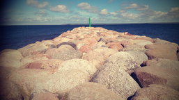 Aenean commodo ligula eget