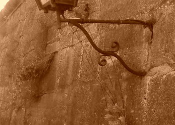 Fusce commodo aliquam arcu